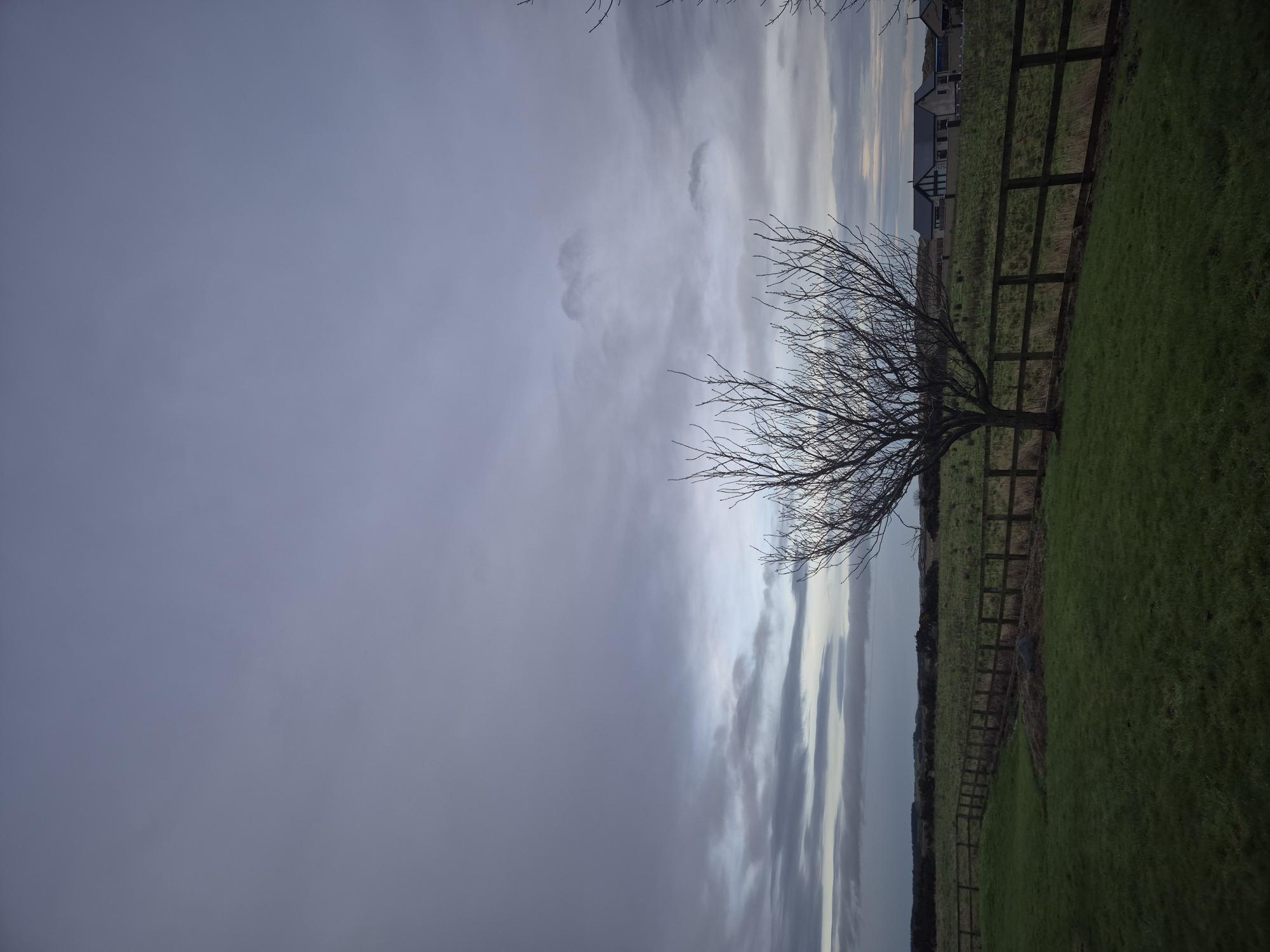 1D4fba3b27de 20260114 150403 (2)