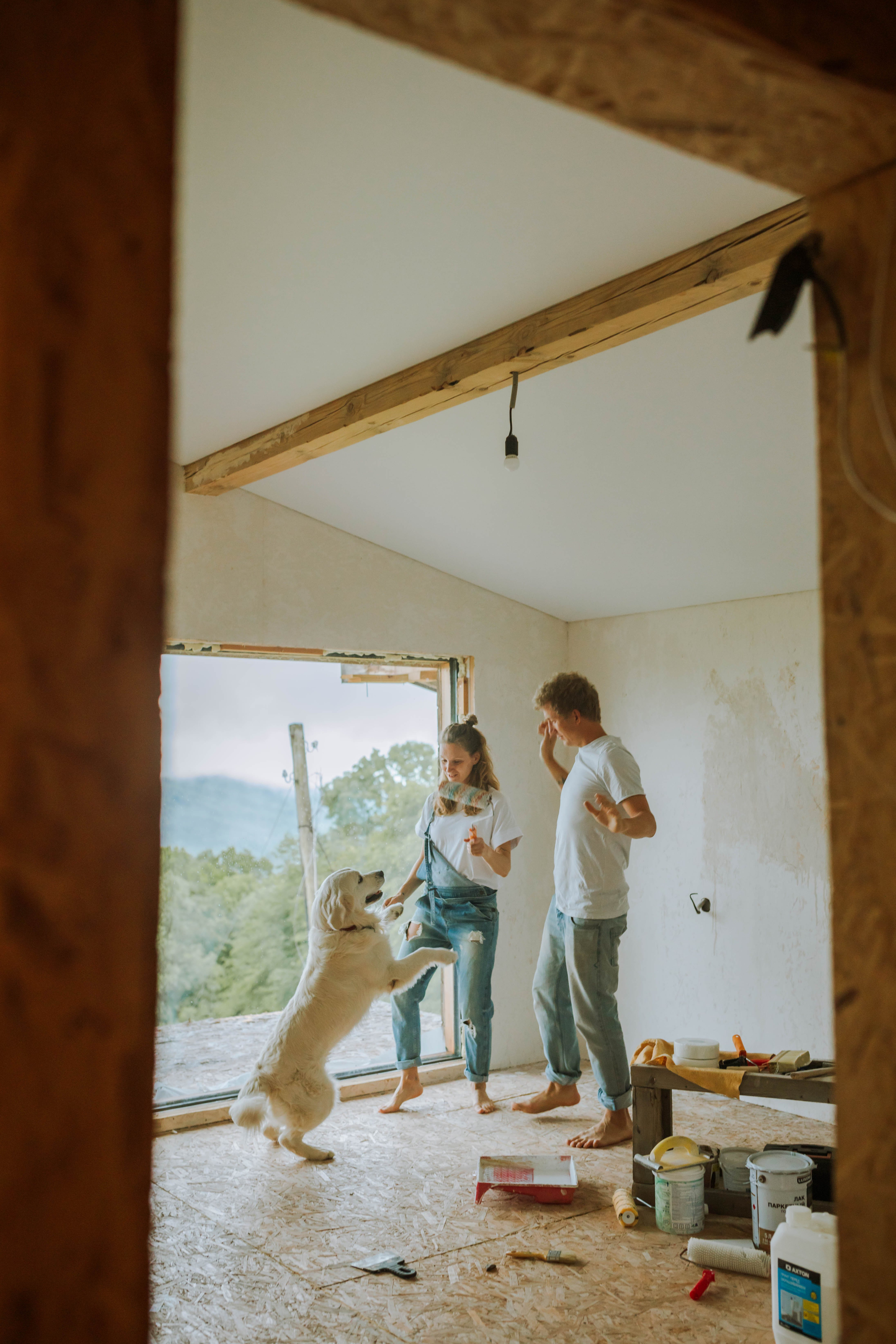Decor Dog Couple