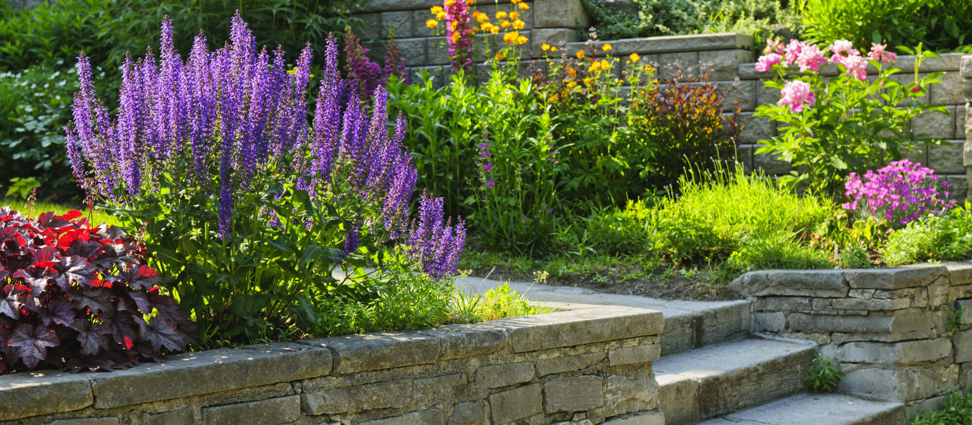 New Website Header 7 (1)